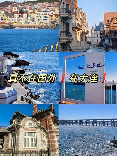 海鸥聊天好友管理与群组功能解析